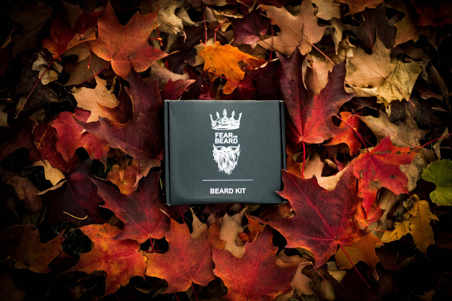 Beard Kit: Fearless Beard Mastery Collection (Beard Brush & Comb Kit + Beard Oil + Beard Balm + Beard Wash + Shears)